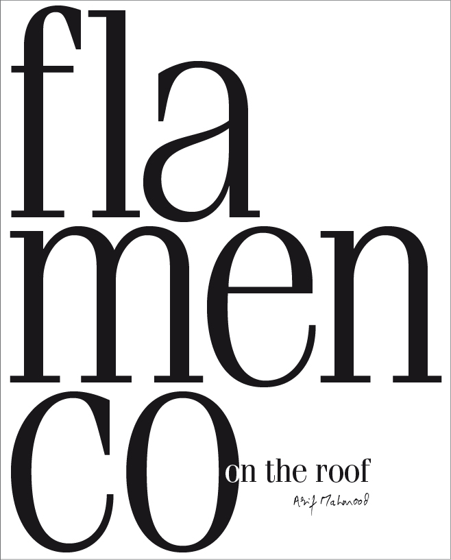 am_FlamencoBook_01